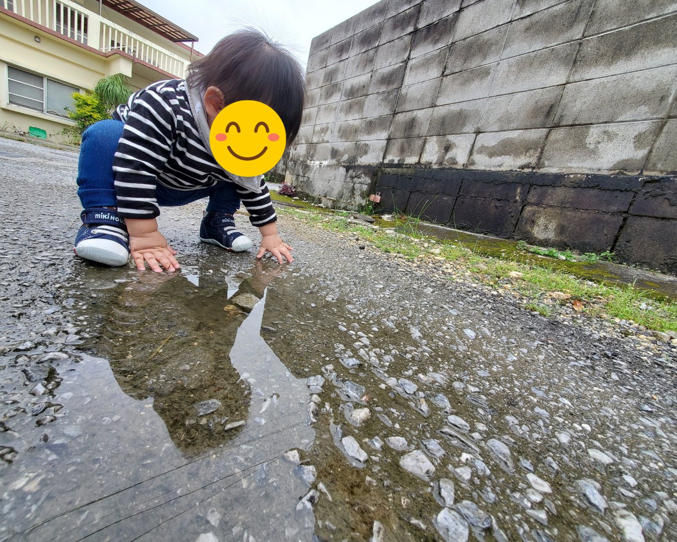 豊富な教育プログラム